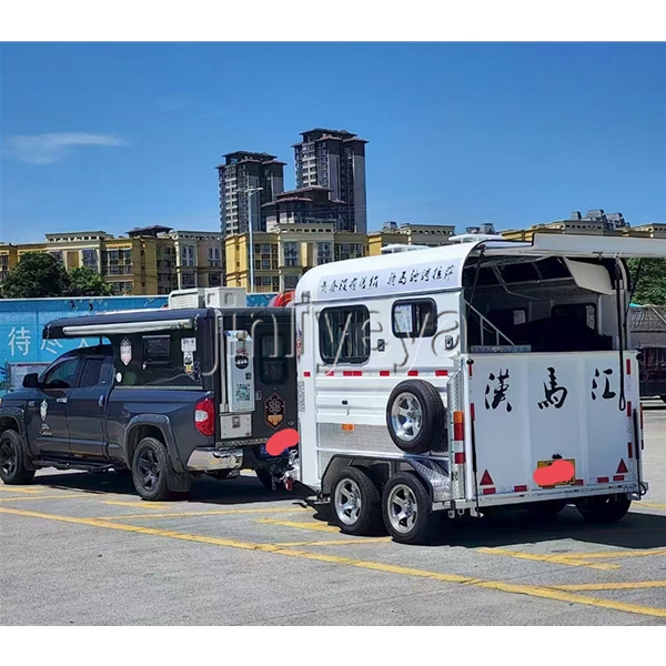 山东两马位马车
